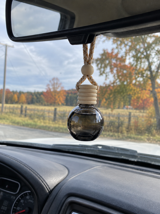 Fall Car Diffusers